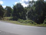 2007072417.JPG