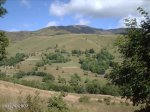 2007072420.JPG