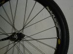 DSC02416.JPG