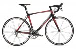 madone55.jpg