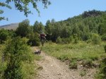 DSC03555.jpg