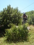 DSC03562.jpg