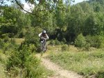 DSC03590.jpg