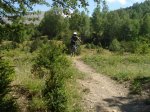DSC03592.jpg