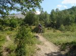 DSC03594.jpg