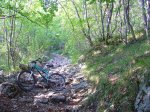DSC03583.JPG