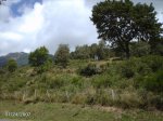 2007072435.JPG