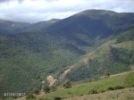 2007072436.JPG