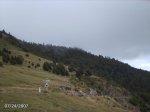 2007072441.JPG