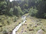 2007072459.JPG
