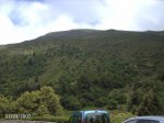 2007072463.JPG