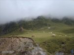 2007072468.JPG
