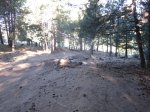 resized_IMG_9993.jpg