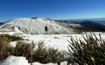 DSC04279 - copia.JPG
