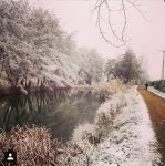 ImageUploadedByTapatalk1420972110.309130.jpg