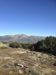 IMG_1854.jpg