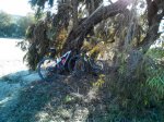 IMG-20150110-WA0002.jpg