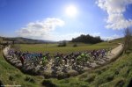 strade-bianche13.jpg