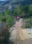 foto0310.jpg