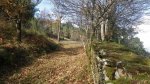 IMGP0466.JPG