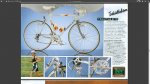 peugeot triathlon.jpg