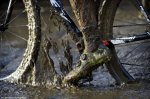 belgian_cx_2015nationals.jpg
