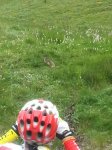 IMG-20150112-WA0001.jpg