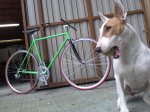 20131003_120953.jpg