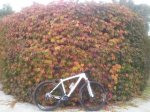 20141121_093332.jpg