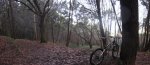 Panorama 2.JPG