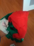 IMG_20150115_101802.jpg