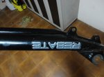 DSC01337.JPG