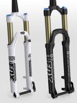 evolutionforks.jpg