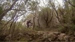 Captura de pantalla 2015-01-16 a las 18.28.26.jpg
