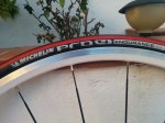 IMG_20150117_084601.jpg