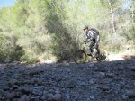 IMG_8253.JPG