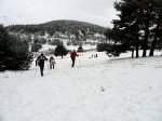 DSC04287.JPG