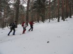 DSC04291 - copia.JPG