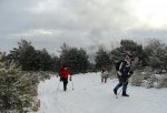 DSC04298 - copia.JPG