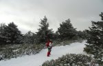 DSC04301 - copia.JPG