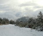 DSC04302 - copia.JPG