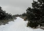 DSC04303 - copia.JPG