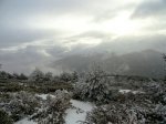DSC04308 - copia.JPG