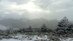 DSC04311 - copia.JPG