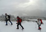 DSC04315 - copia.JPG