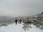 DSC04316 - copia.JPG