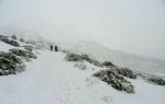DSC04323 - copia.JPG