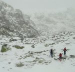 DSC04331 - copia.JPG