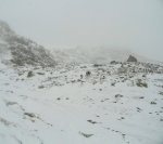 DSC04332 - copia.JPG