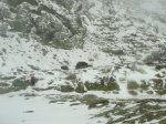 DSC04340 - copia.JPG